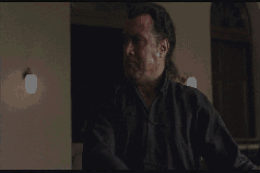 seagall.gif