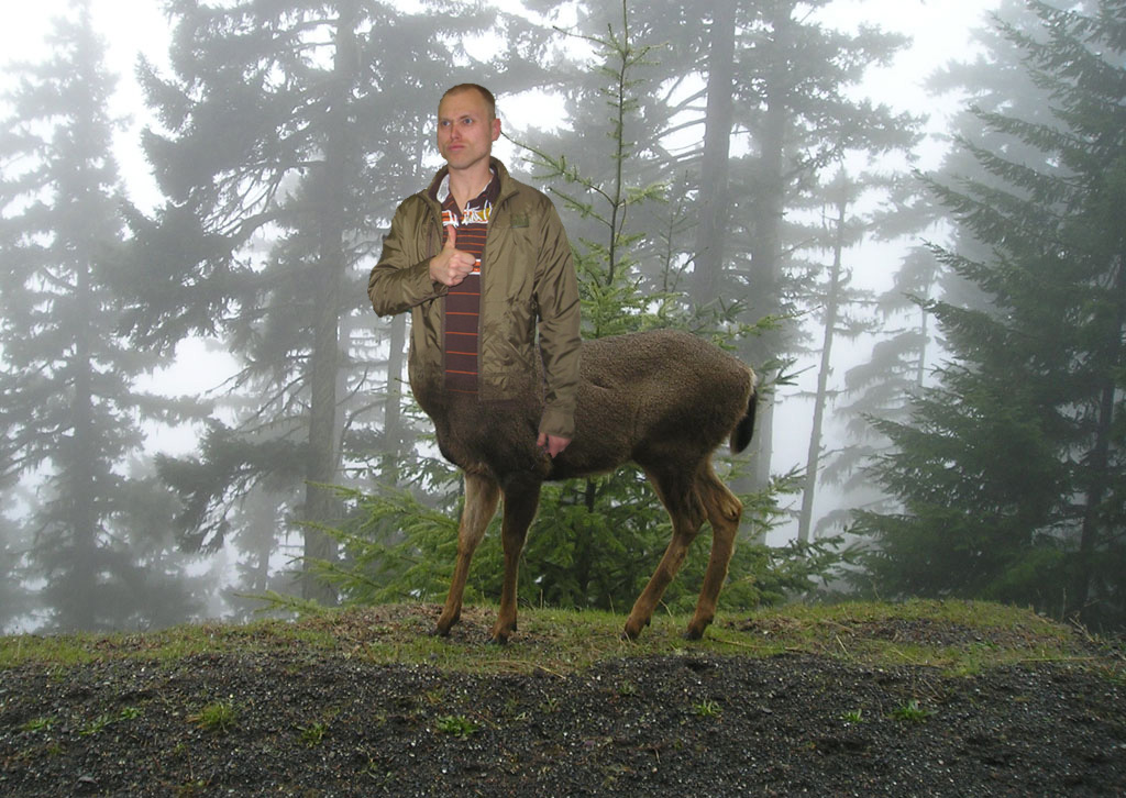shanedeer.jpg